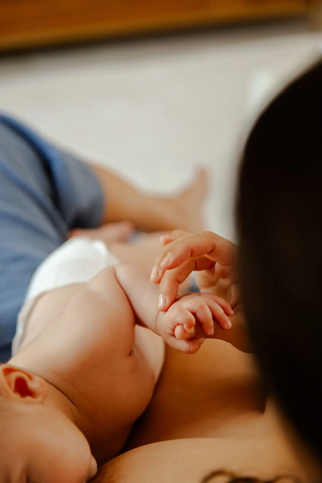 Photo de naissance, famille et grossesse à Albi Tarn